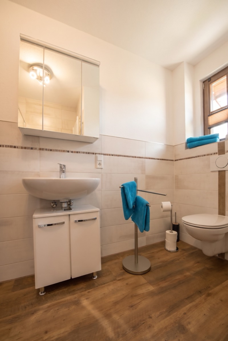 Duschbad mit Waschbecken, Spiegelschrank und WC